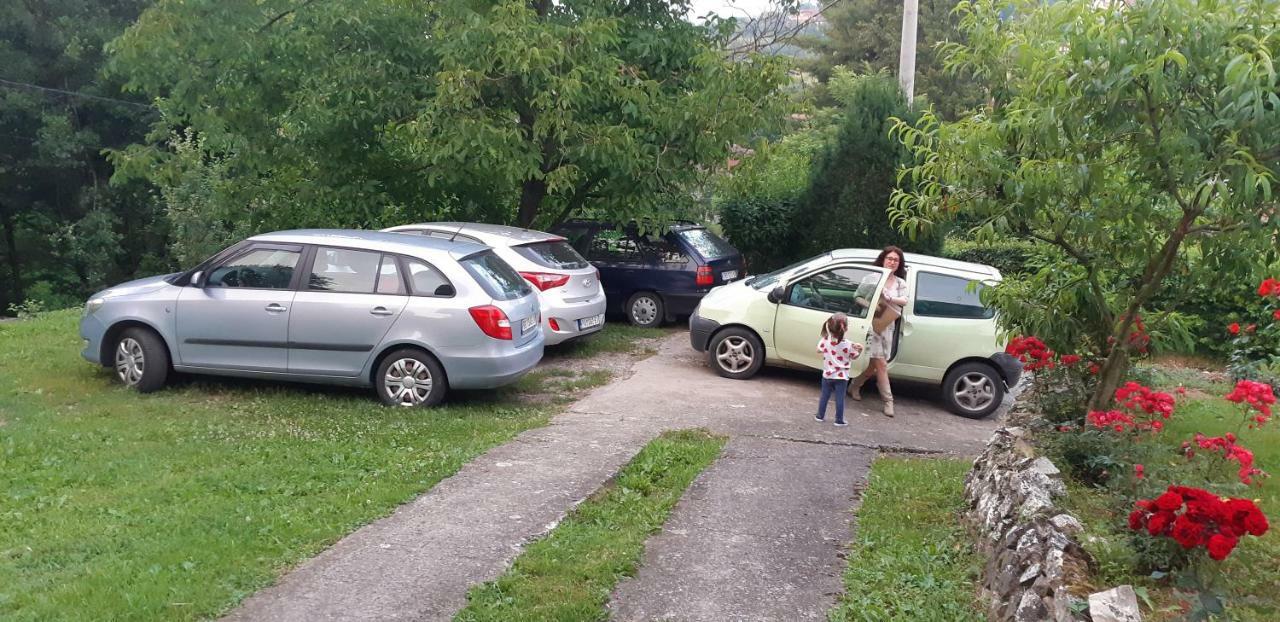 Apartman Kucica Za Odmor , Draskovic Vrnjačka Banja Εξωτερικό φωτογραφία